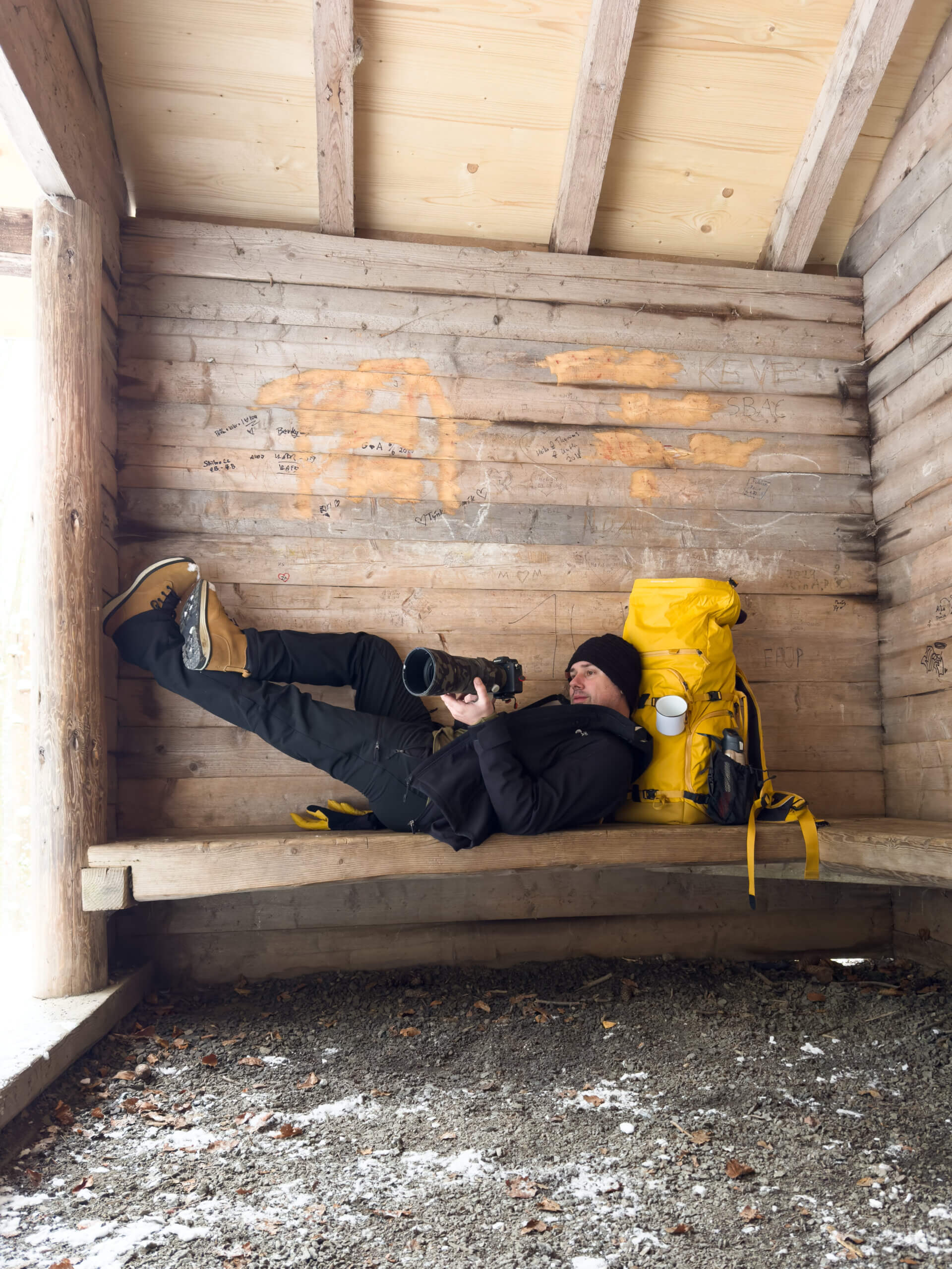 Martin Bargl, fotografie zvířat